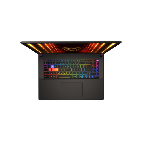 Купить 17.3" Игровой ноутбук MSI Vector 17 Ultra 9 275HX RTX 5070 Ti IPS 2.5K 240Гц 32ГБ 2ТБ A2XWHG072CN Чёрный