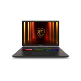 Купить 17.3" Игровой ноутбук MSI Vector 17 Ultra 9 275HX RTX 5070 Ti IPS 2.5K 240Гц 32ГБ 2ТБ A2XWHG072CN Чёрный