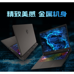 Игровой ноутбук MSI Vector 16 HX AI, Ultra 9 285HX, 4K Mini-LED 120Гц, RTX 5080, RAM 16ГБ, SSD 1ТБ, A2XWIG-474CN, Windows 11 Home, Русская гравировка, Черный
