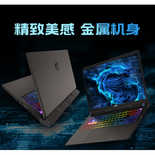 Игровой ноутбук MSI Vector 16 HX AI, Ultra 9 275HX, ISP 2.5K 240Гц, RTX 5070 Ti, RAM 32ГБ, SSD 1ТБ, A2XWHG-234CN, Windows 11 Home, Русская гравировка, Черный