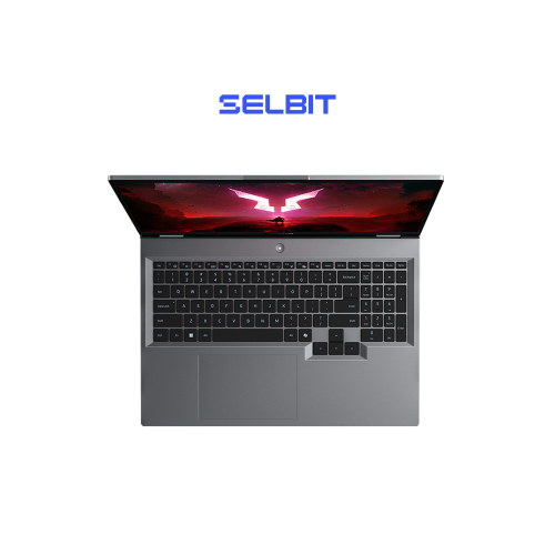 Игровой ноутбук Lenovo LeCoo R7000, Ryzen 9 8940HX, RTX 5060, IPS 2.5K 180Гц, RAM 16ГБ, SSD 512ГБ, Windows 11 Home, Русская гравировка, Серый