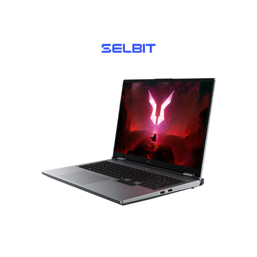 Игровой ноутбук Lenovo LeCoo R7000, Ryzen 9 8940HX, RTX 5060, IPS 2.5K 180Гц, RAM 16ГБ, SSD 512ГБ, Windows 11 Home, Русская гравировка, Серый