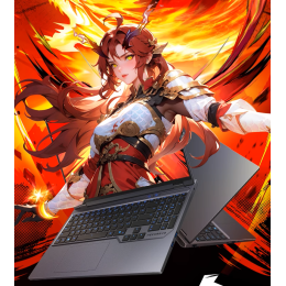 Купить 16" Игровой ноутбук Mechrevo 16 Pro Ryzen 9 8945HX RTX 5070 Ti IPS 2.5K 300Гц 32ГБ 1ТБ Серый