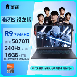 Купить 16" Игровой ноутбук ThundeRobot Hunting Blade S Ryzen 9 7945HX RTX 5070 Ti IPS 2.5K 240Гц 16ГБ 1ТБ Cерый