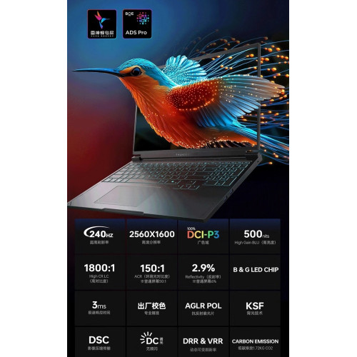 Купить 16" Игровой ноутбук ThundeRobot Hunting Blade S Ryzen 9 7945HX RTX 5070 Ti IPS 2.5K 240Гц 16ГБ 1ТБ Cерый