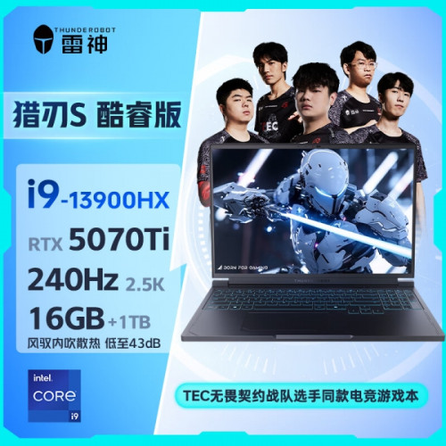 Купить 16" Игровой ноутбук ThundeRobot Hunting Blade 16S i9-13900HX RTX 5070 Ti IPS 2.5K 240Гц 16ГБ 1ТБ Чёрный