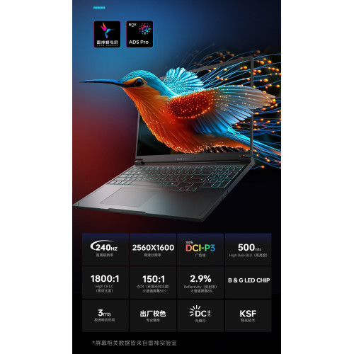 Купить 16" Игровой ноутбук ThundeRobot Hunting Blade 16S i9-13900HX RTX 5070 Ti IPS 2.5K 240Гц 16ГБ 1ТБ Чёрный