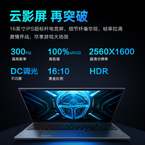 Купить 16" Игровой ноутбук ThundeRobot Hunting Blade R16 i9-13900HX RTX 5080 IPS 2.5K 240Гц 16ГБ 1ТБ Чёрный