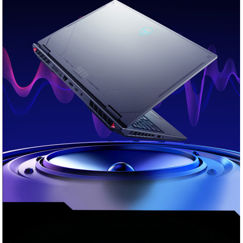 Купить 16" Игровой ноутбук ThundeRobot Hunting Blade R16 i9-13900HX RTX 5080 IPS 2.5K 240Гц 16ГБ 1ТБ Чёрный
