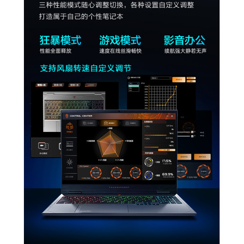 Купить 16" Игровой ноутбук ThundeRobot Hunting Blade R16 i9-13900HX RTX 5080 IPS 2.5K 240Гц 16ГБ 1ТБ Чёрный