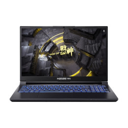 Игровой ноутбук Hasee Ares Z8C4 2.5K, 15.6", 16 ГБ/2 ТБ, i5-12450H, RTX 4050, черный, Русская раскладка, Windows 11 Home