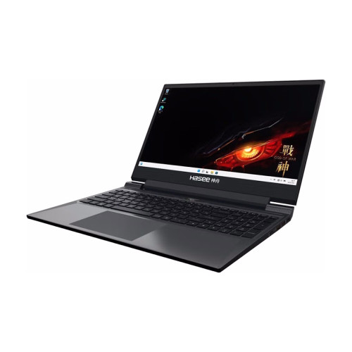 Игровой ноутбук Hasee Ares S8C42 2.5K, 15.6", 64 ГБ/4 ТБ, i5-12450H, RTX 4050, черный, Русская раскладка, Windows 11 Home