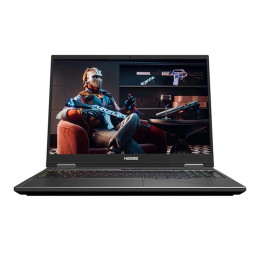 Игровой ноутбук Hasee Ares T11 Pro, 16'', 32Гб/1Тб, i9-14900HX, RTX5080, серебристый, Русская раскладка, Windows 11 Home
