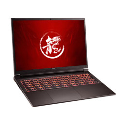 Игровой ноутбук Acer Shadow Knight Dragon 5 2024, 16", 16 ГБ/1 ТБ, R7-7840H, RTX 4060, черный, Русская раскладка, Windows 11 Home