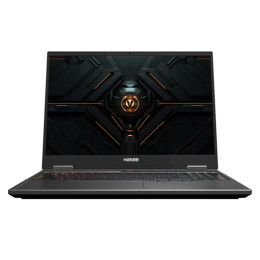Игровой ноутбук Hasee Ares T10 Pro, 16'', 32Гб/1Тб, i7-14700HX, RTX5070 Ti, серебристый, Русская раскладка, Windows 11 Home