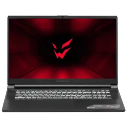 17.3" Ноутбук ARDOR Gaming EVO E17-I7ND401 черный