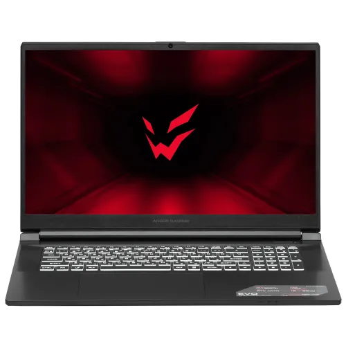 17.3" Ноутбук ARDOR Gaming EVO E17-I7ND401 черный