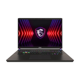Ноутбук игровой MSI Vector 17 HX, 17" QHD+ 240 Гц, 64 ГБ/2 ТБ, Core i9-14900HX, RTX 4060, серый, Русская раскладка, Windows 11 Home
