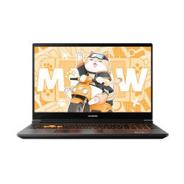 Игровой ноутбук Colorful Meow R16, 16", 16 ГБ/1 ТБ, R7-8845HS, RTX 4060, оранжевый/черный, Русская раскладка, Windows 11 Home