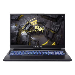 Игровой ноутбук Hasee Ares Z8D6 15.6'', 16ГБ/512ГБ, i7-12650H, RTX 4060, черный, Русская раскладка, Windows 11 Home